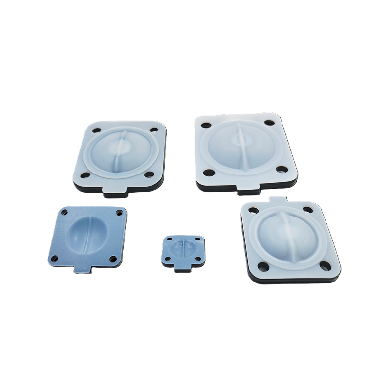 ไดอะแฟรมEPDM + PTFE ไดอะแฟรมคู่